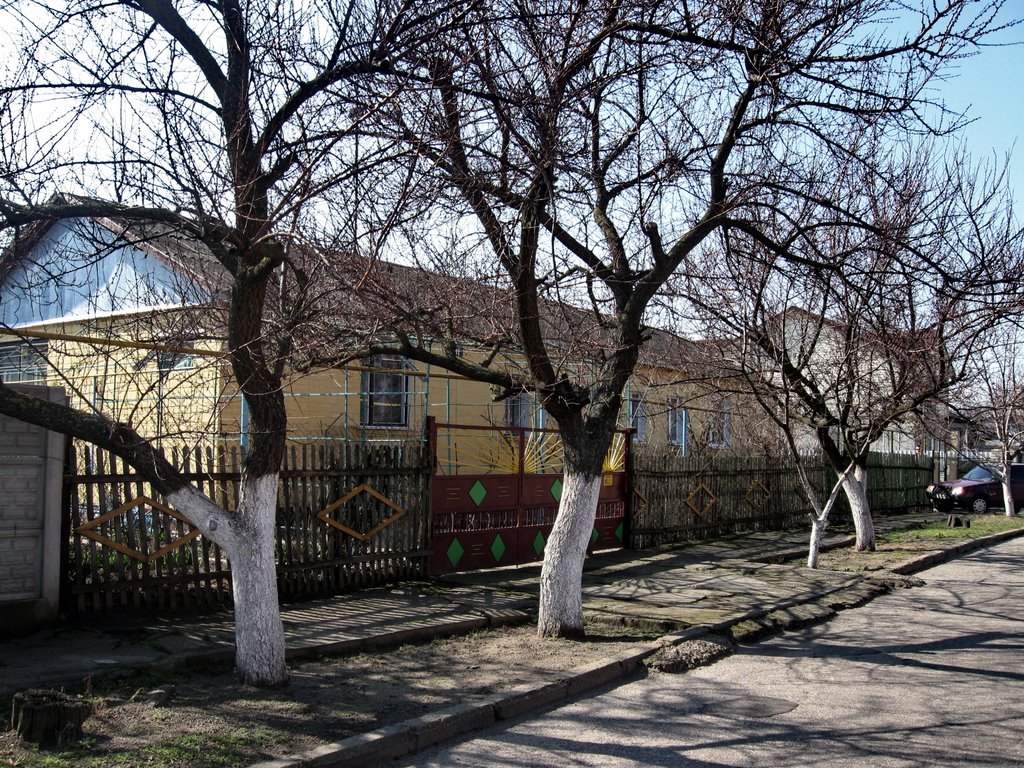 Улица Калинина
