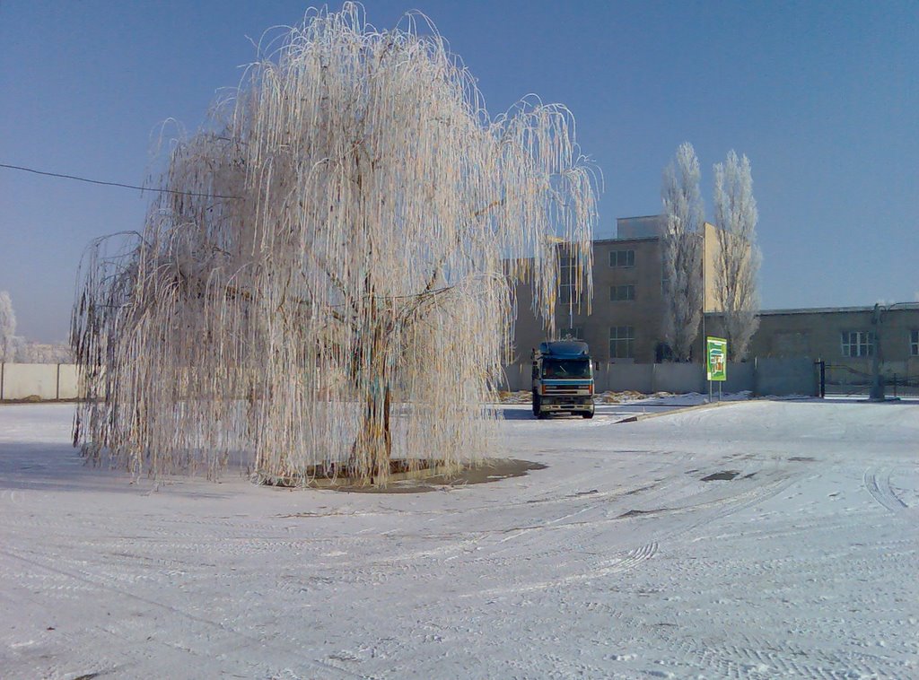 Winter in Kakhovka