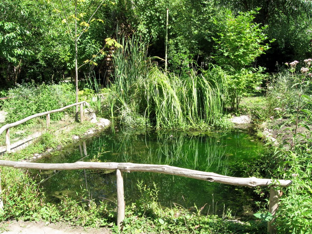 Прудик