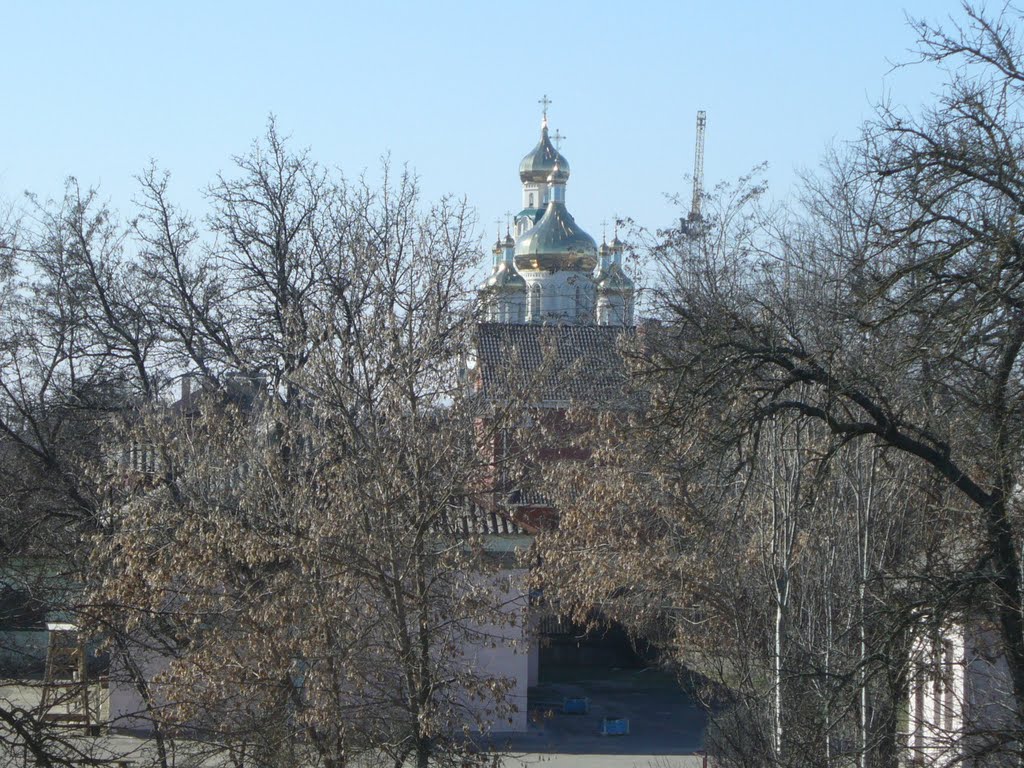 Вид из окна кардиологического отделения горбольницы