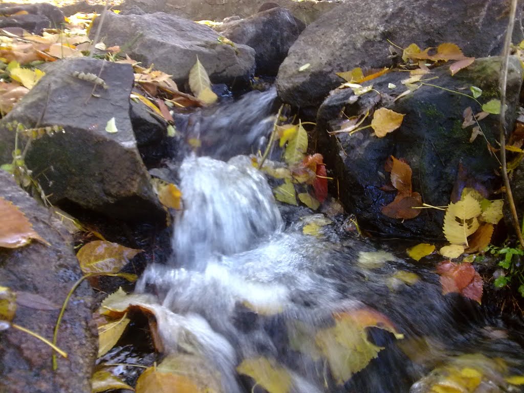 Little stream