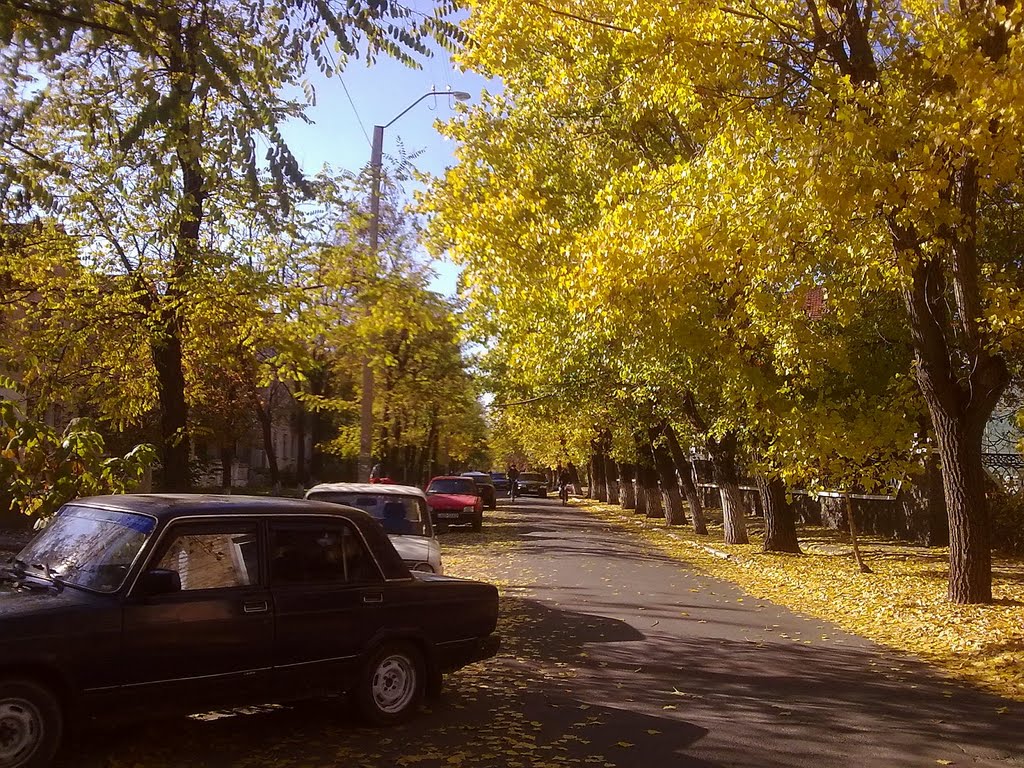 autumn in the city