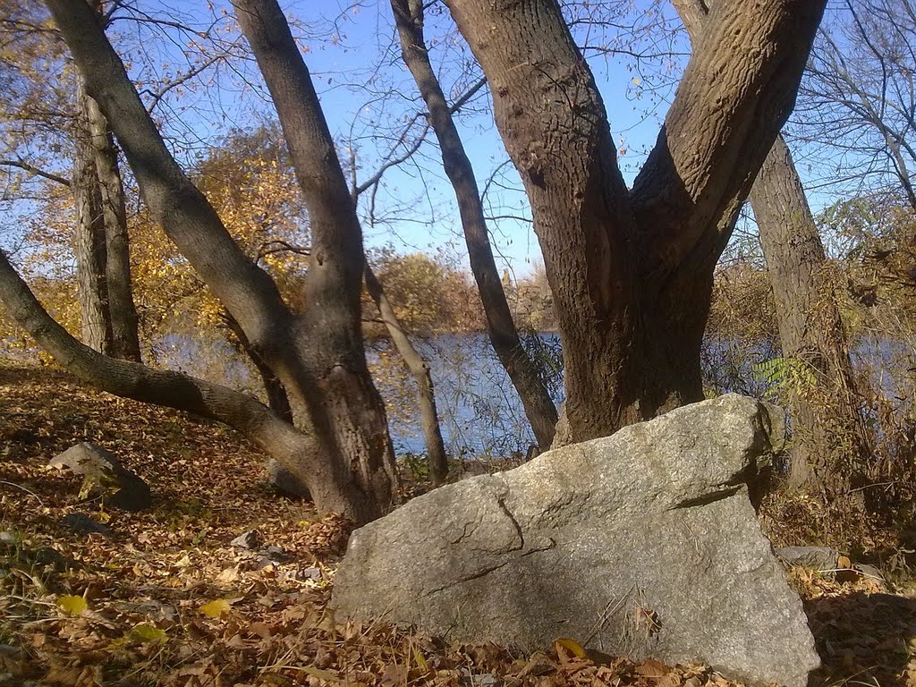 on the riverbank