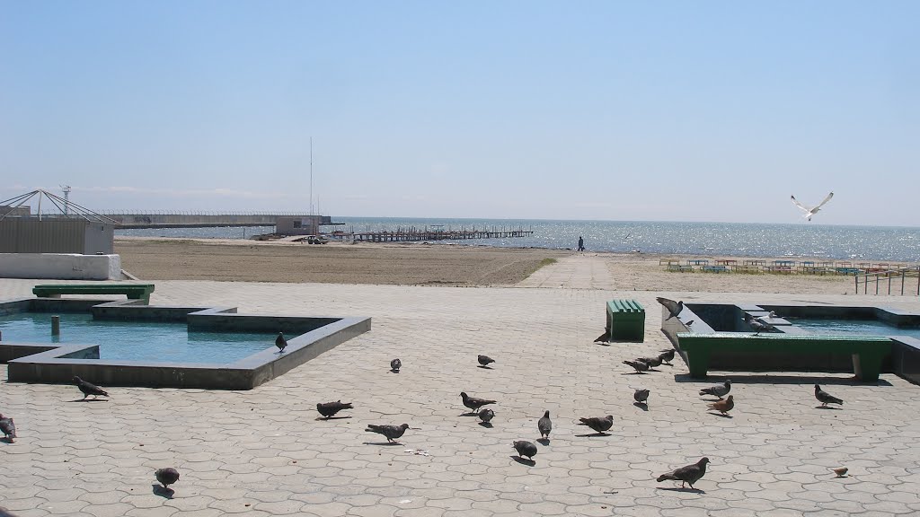 Seafront in the spring