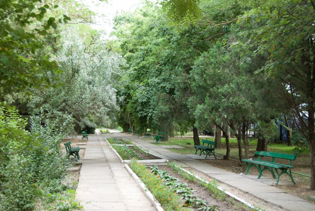 Аллея санатория Скадовск. Лето 2008