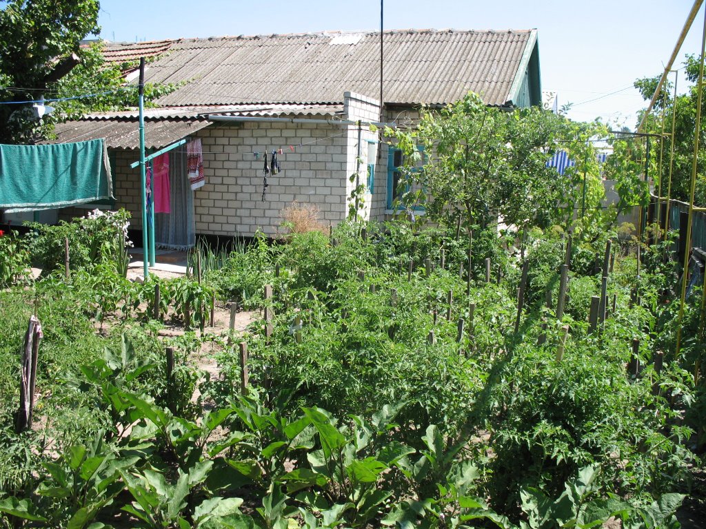2006.07.22 1209-34