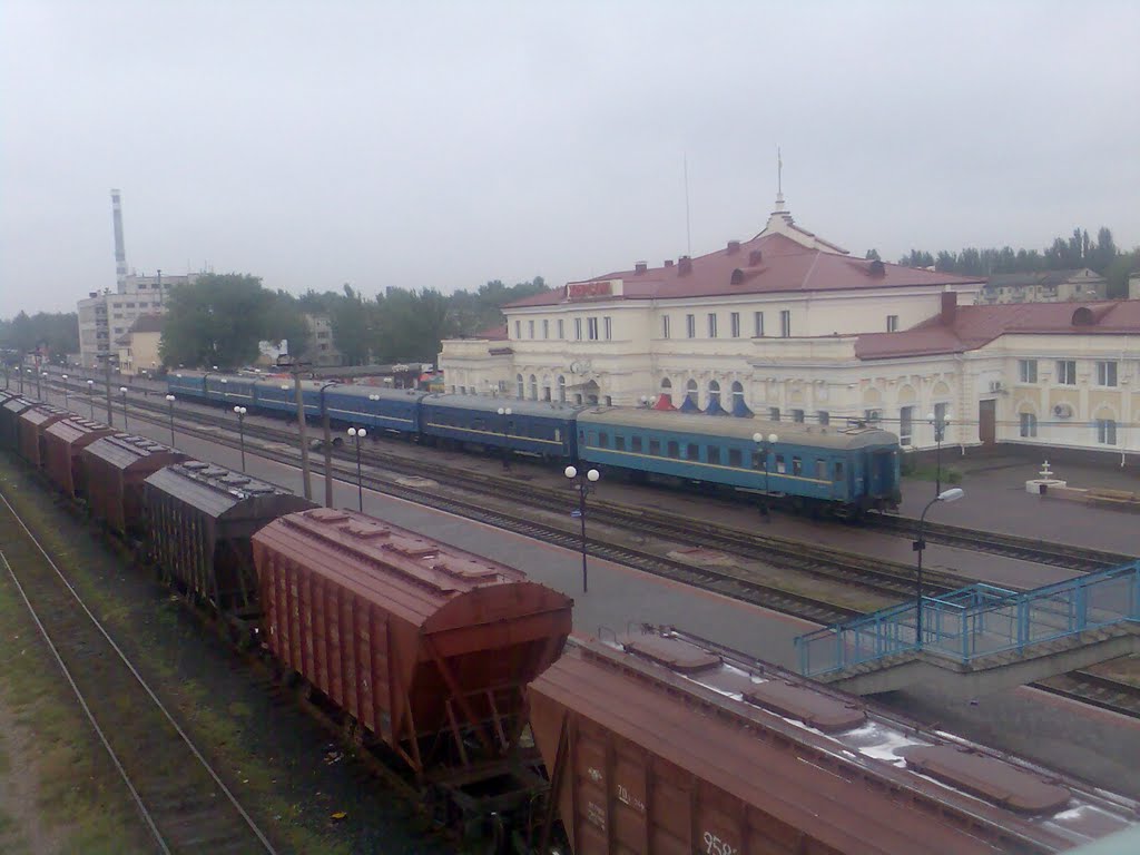 Вид с пешеходного перехода / The view from the footbridge at the railway station