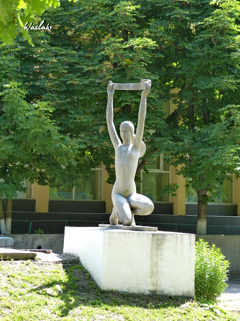 Вище Училище Фізичної Культури