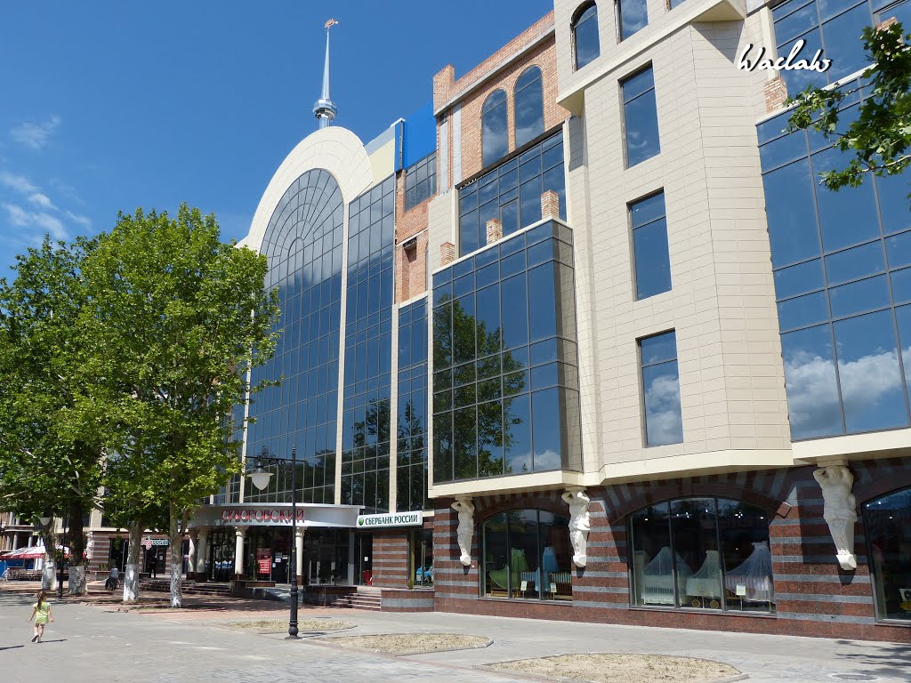 ТЦ Суворовський - Shopping mall "Suvorovski"