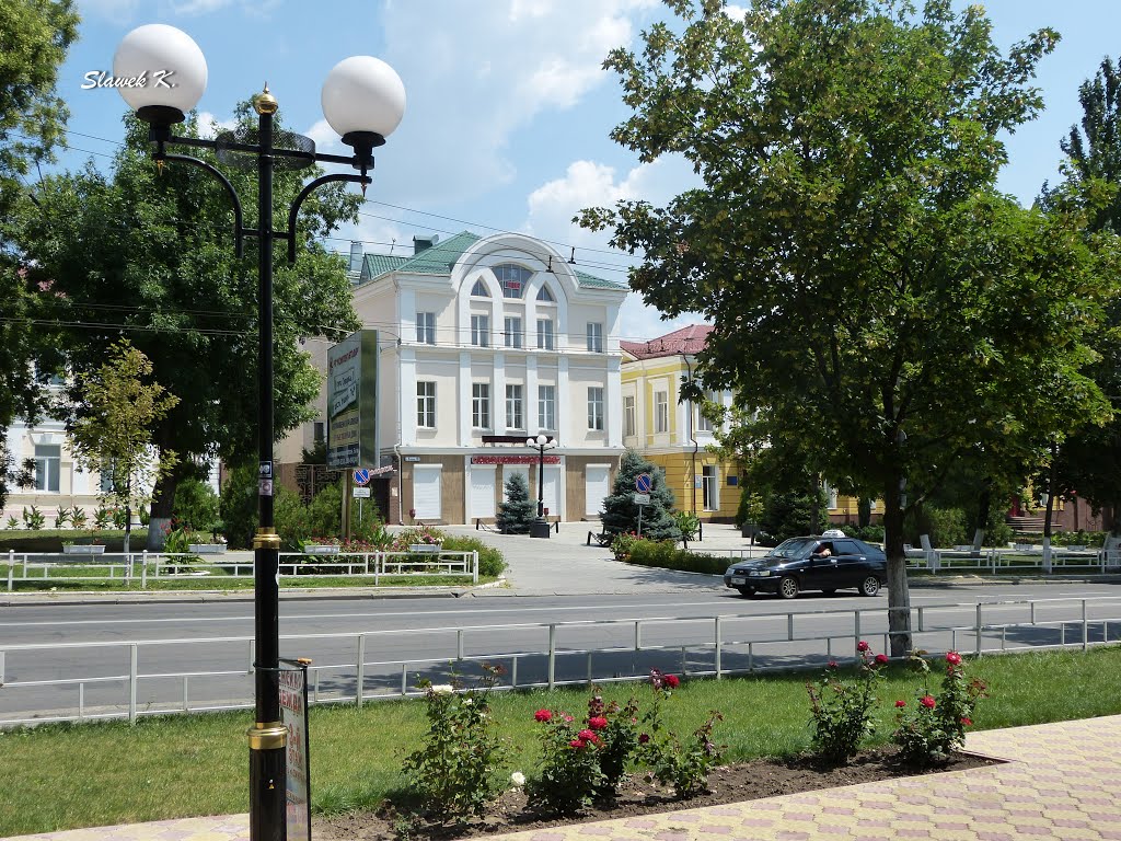 Наддніпряночка