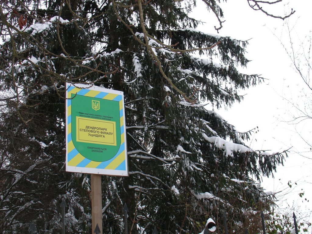 Дендропарк НИИЛХА