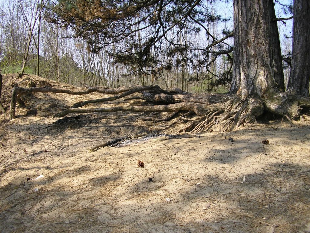 Место для отдыха ) / A place for resting )