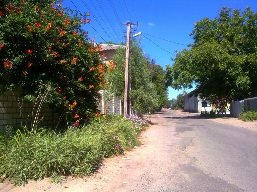 ул.Советская / Sovetskaya Street