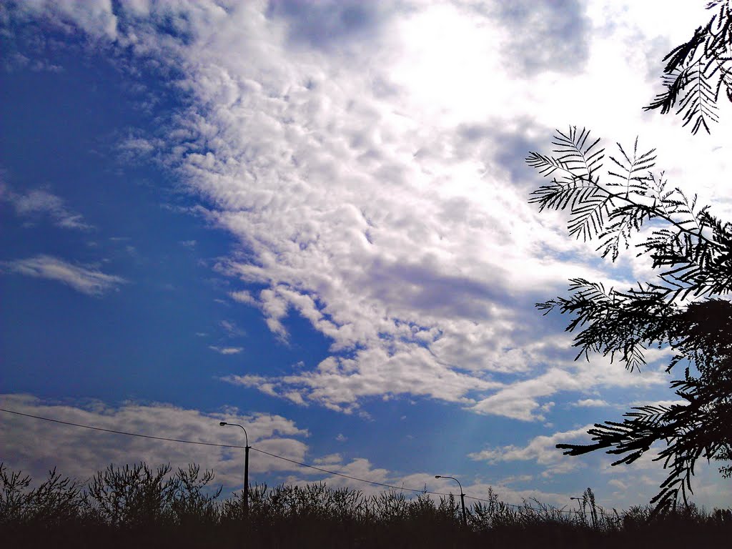 Облака / Clouds