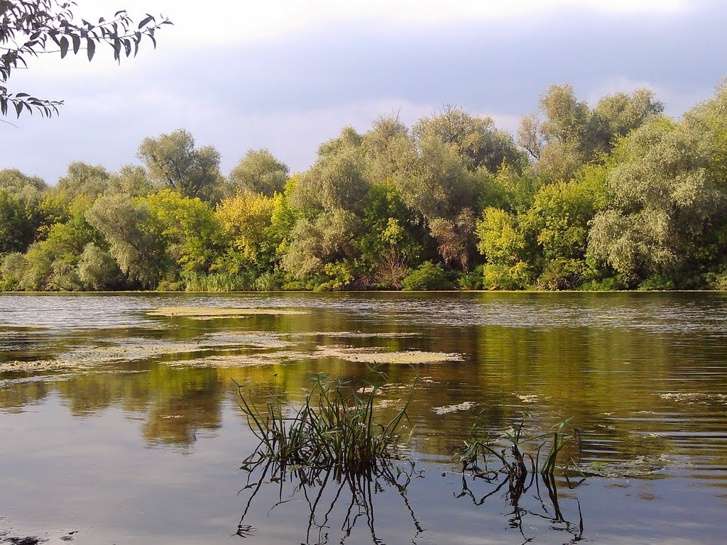 Конка в конце лета / Konka in the end of summer