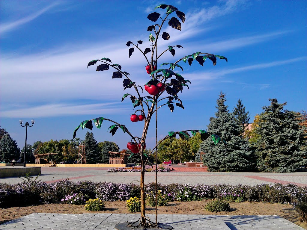 Tsyurupinsk tomatoes - a symbol of the region