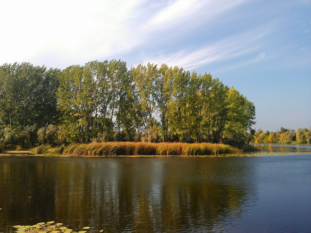 Autumn River