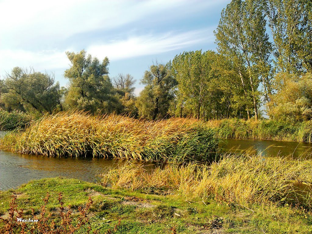 autumn