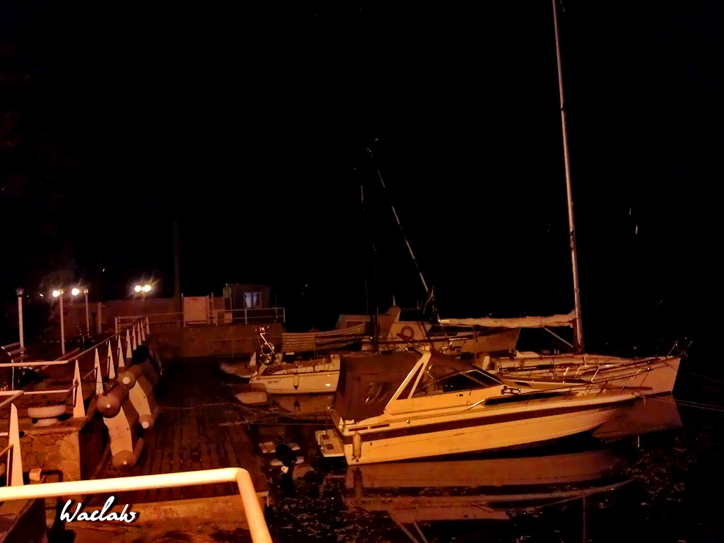 Yacht Club at night