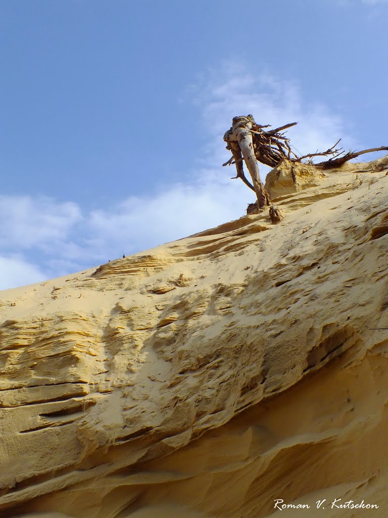 The Art of the Wind