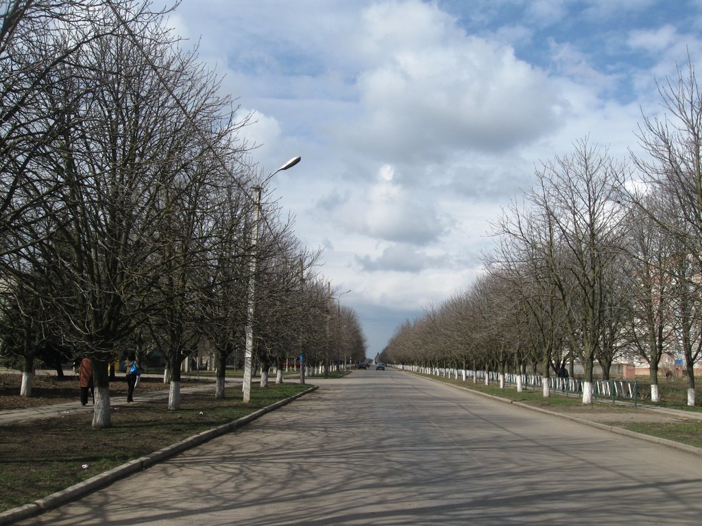 Улица Ленина.