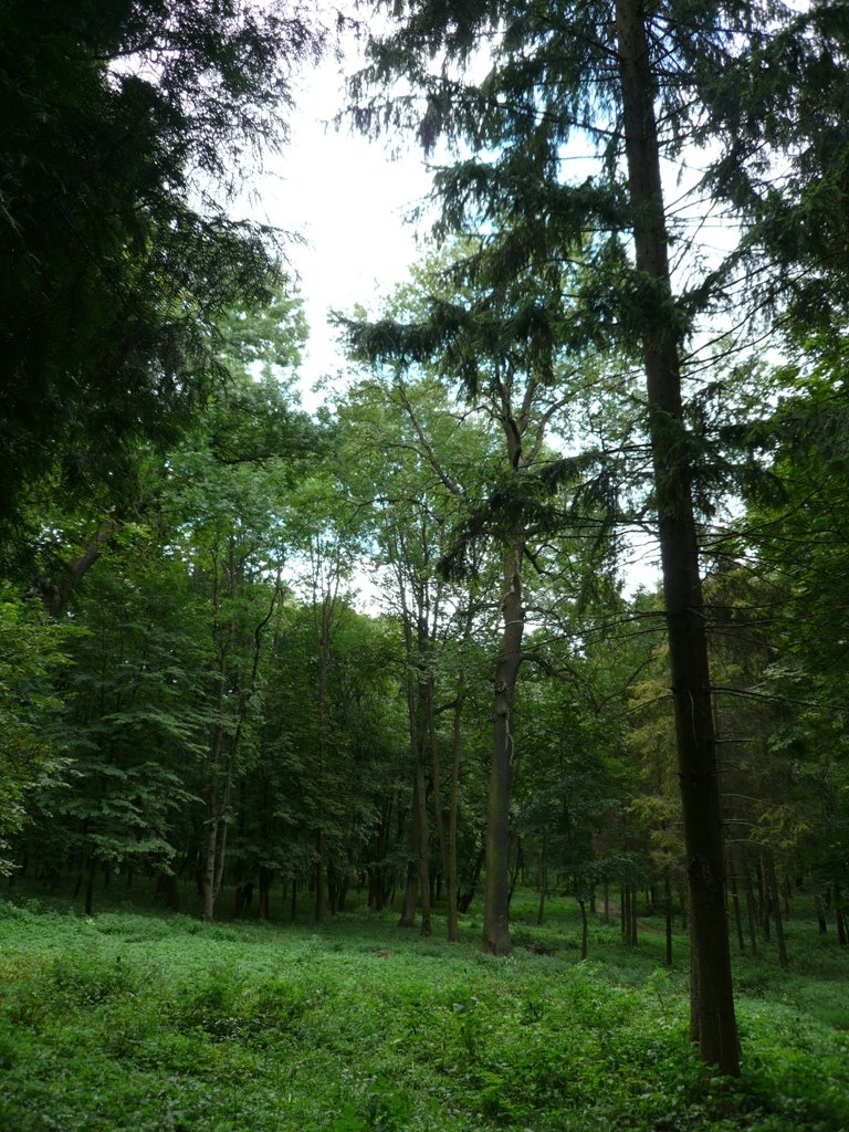 В парке