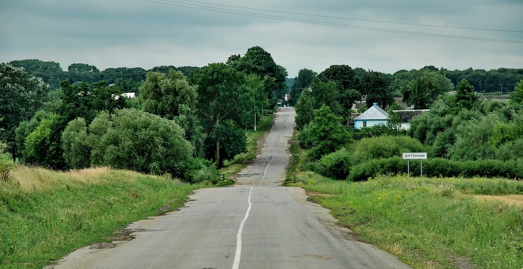 Въезд в Антонины 2009г