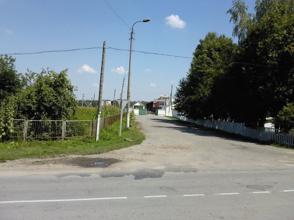 Перехрестя
