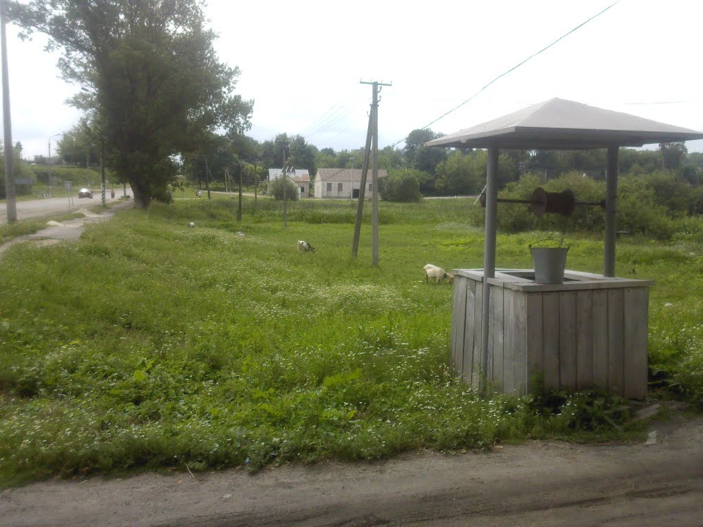 Криниця