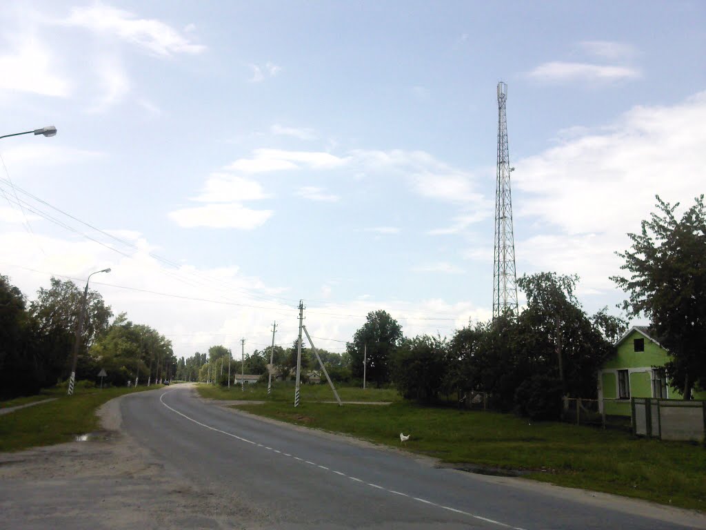Дорога