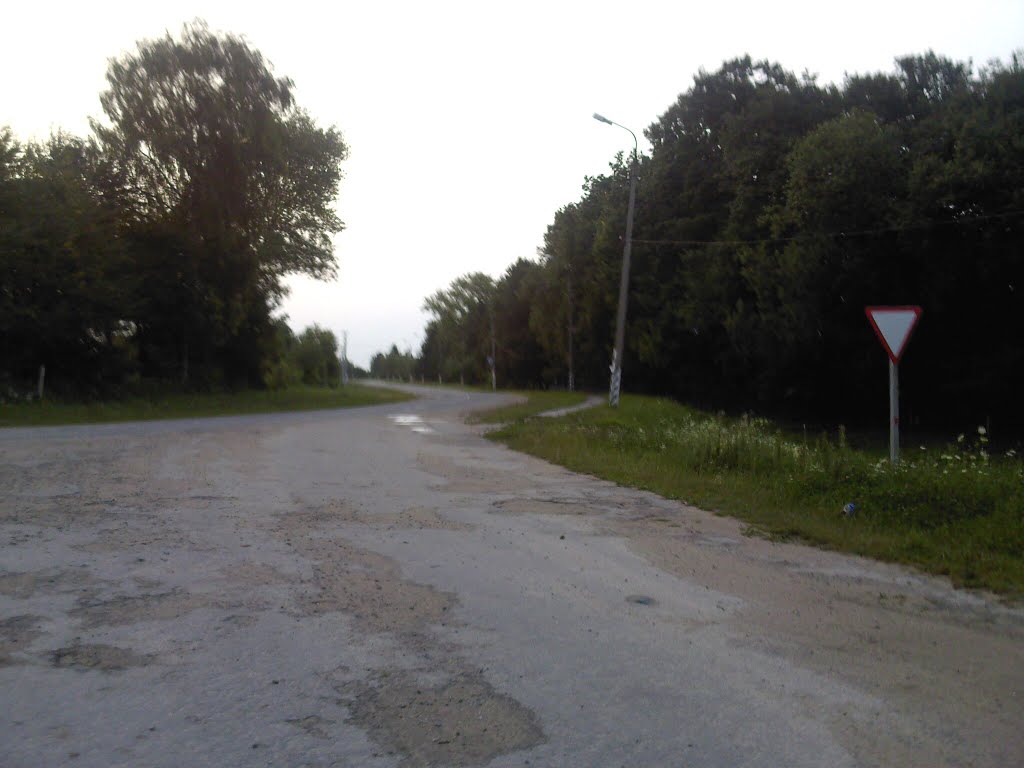 Виїзд на трасу з Гаю