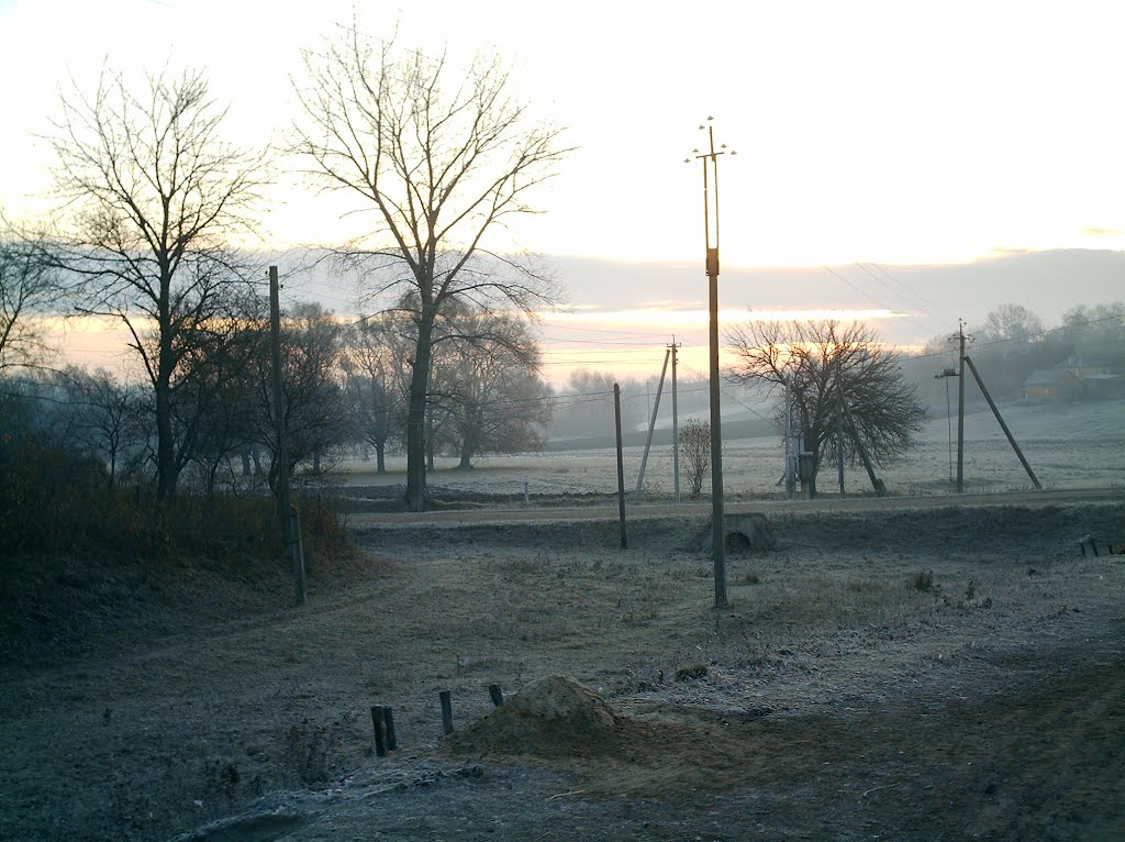 Базалія