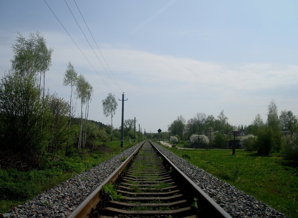 Teofipol