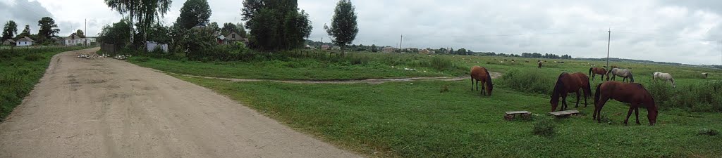 Пасовище