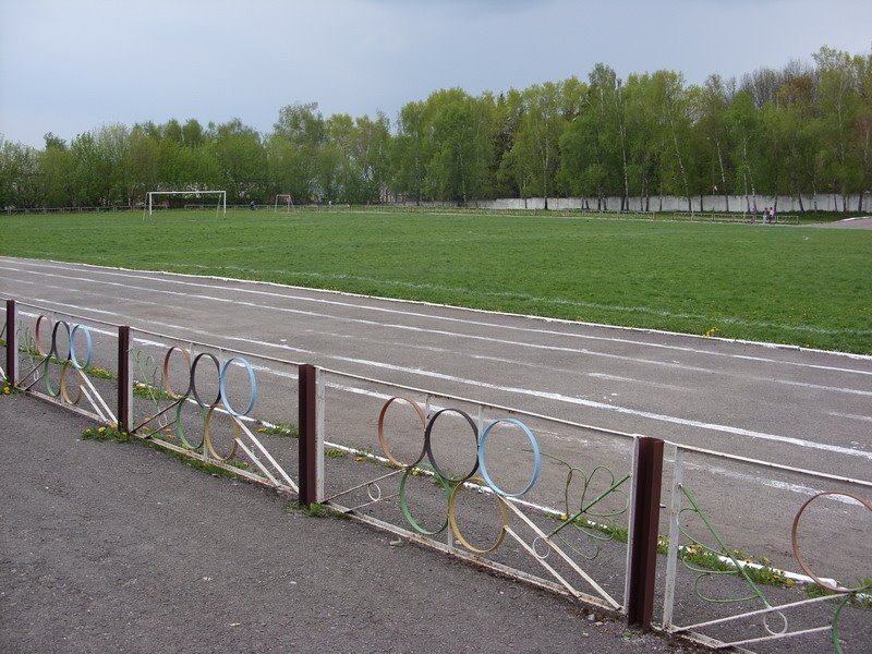 центральний стадіон Віньковець