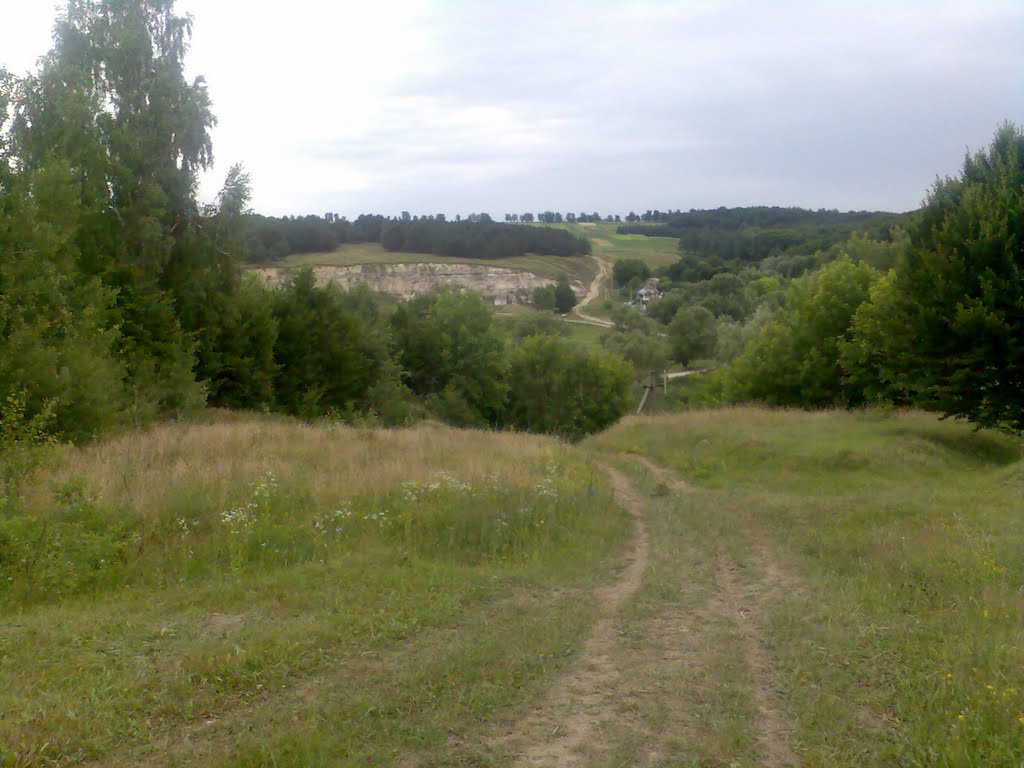 Ступник