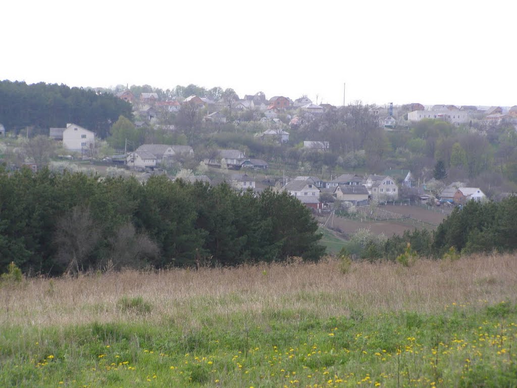 Березина