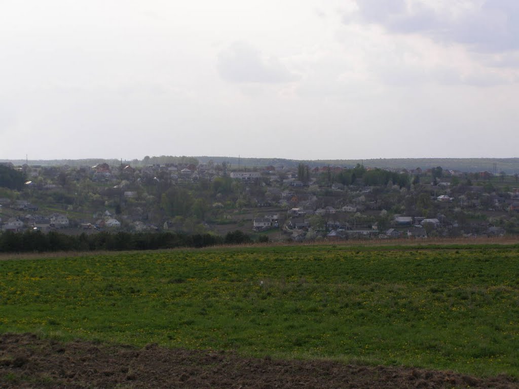 Березина