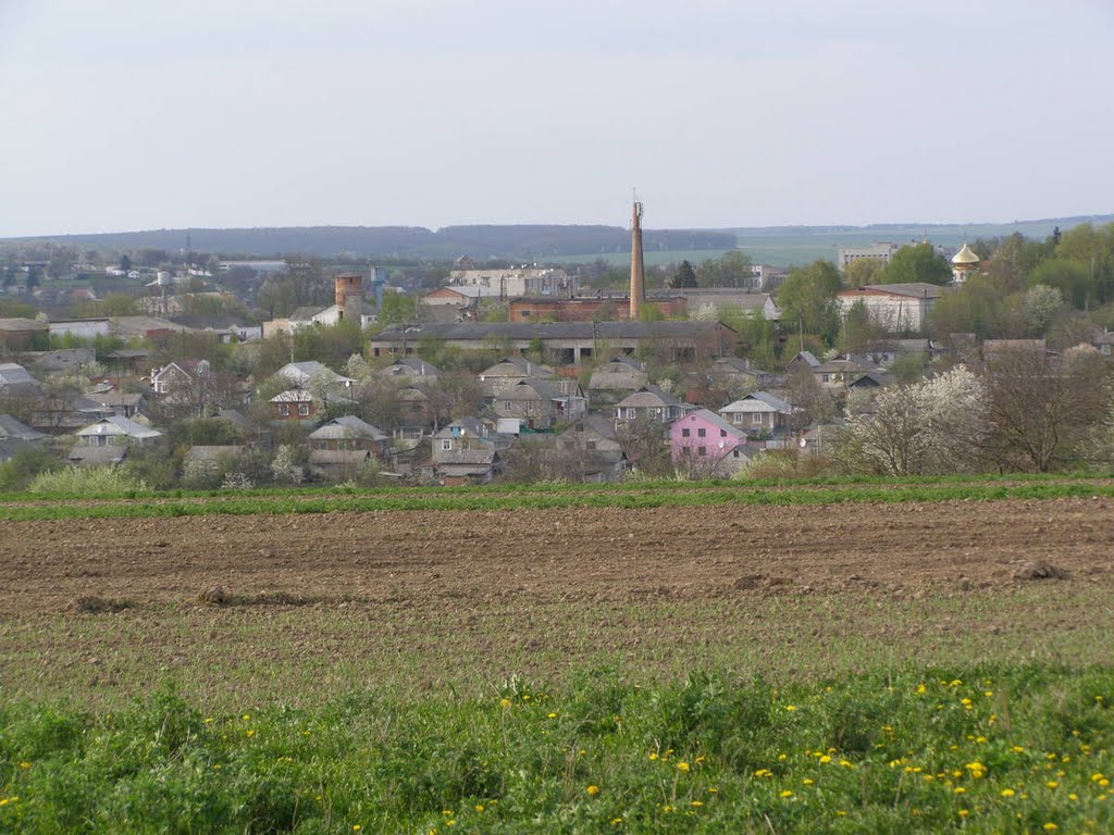 Вулиці Піонерська і Заводська