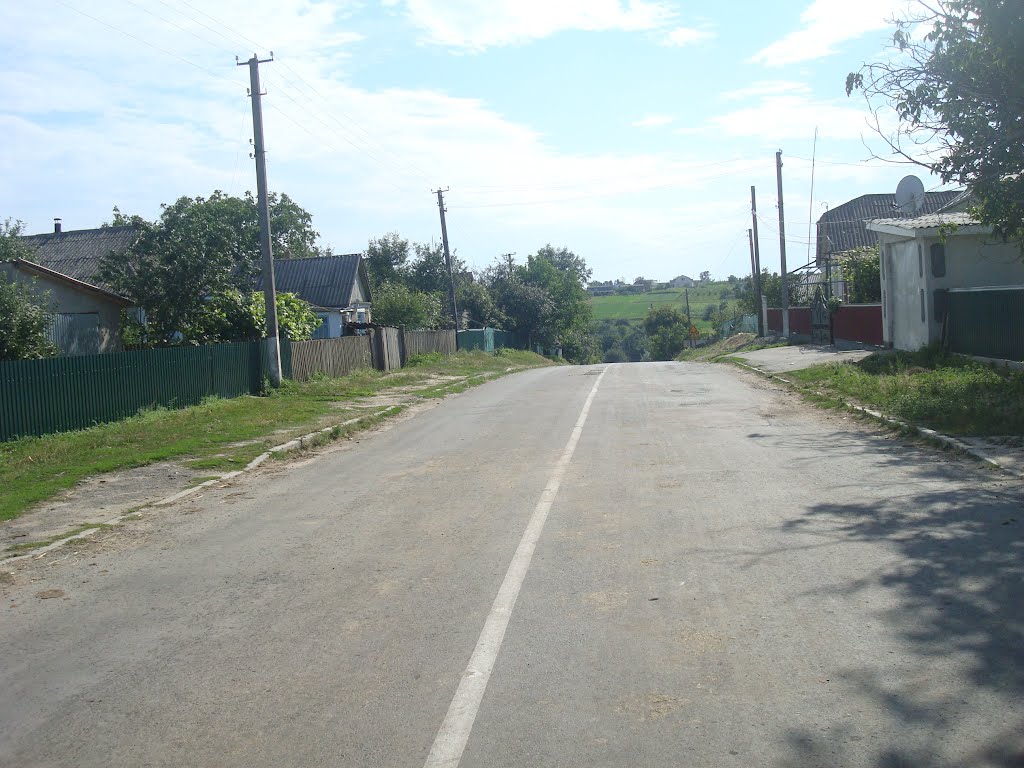 242. Подолянское
