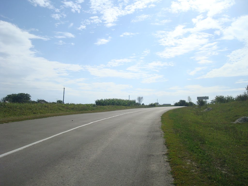 244. Виньковцы