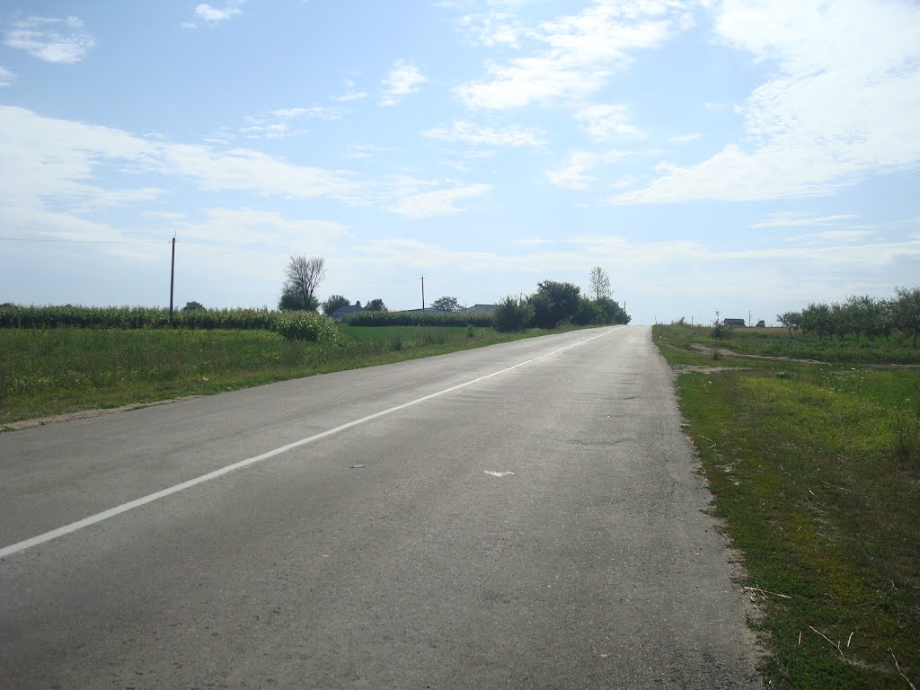 246. Виньковцы