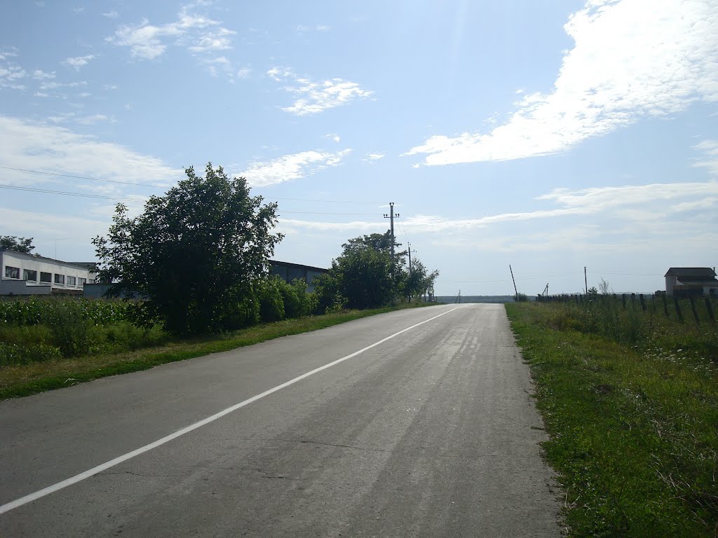 247. Виньковцы