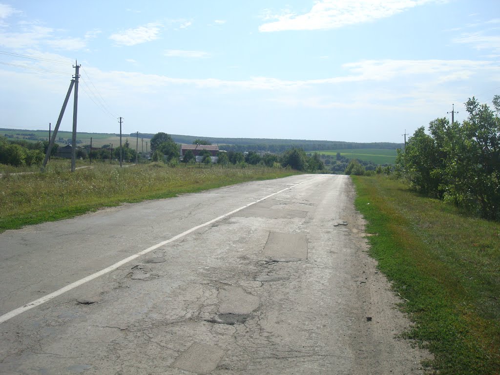 248. Виньковцы