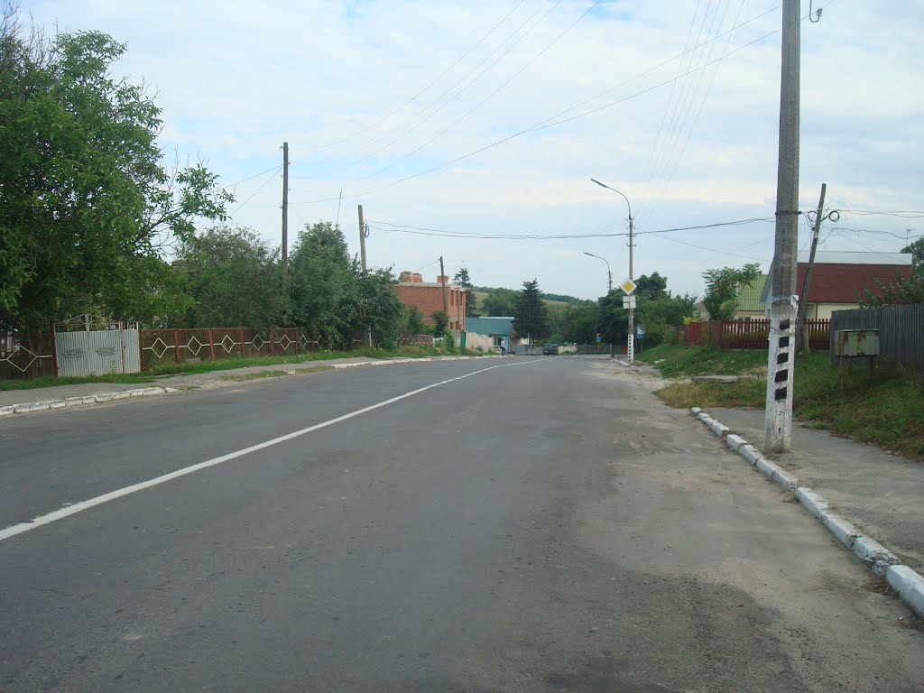 259. Виньковцы