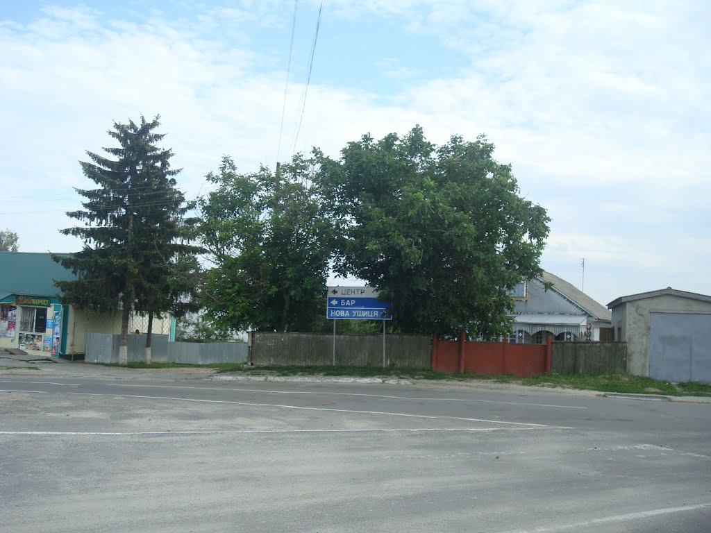 260. Виньковцы