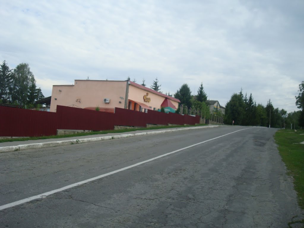 262. Виньковцы
