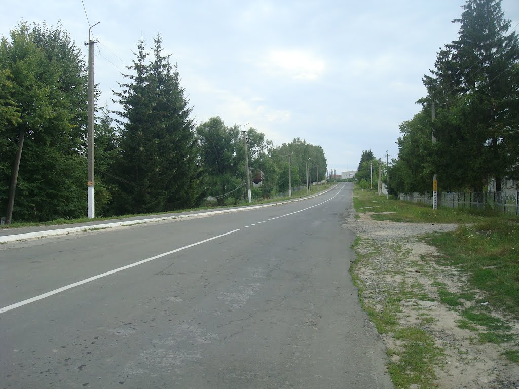 263. Виньковцы