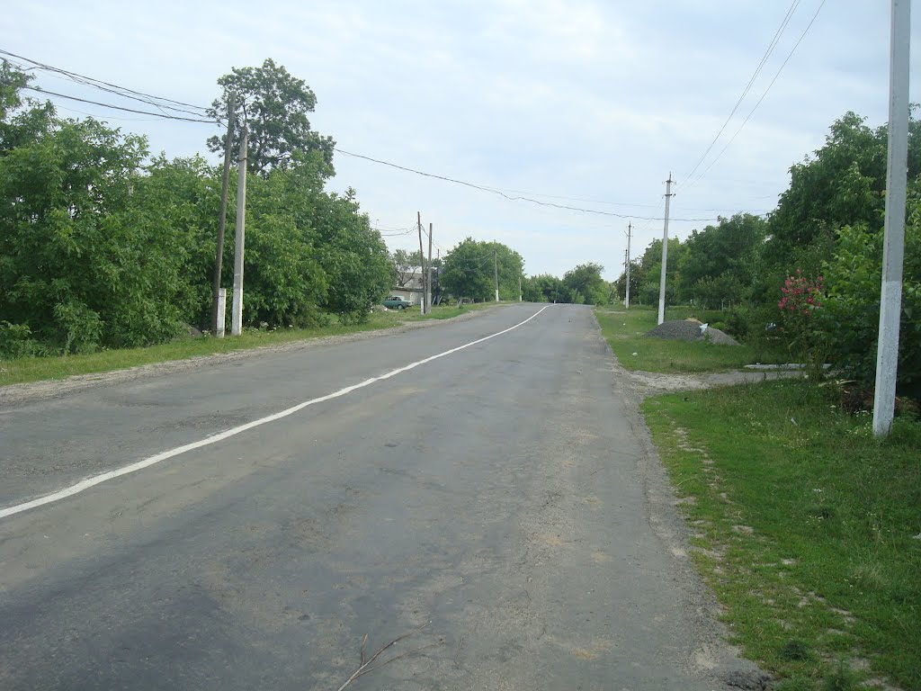 264. Виньковцы