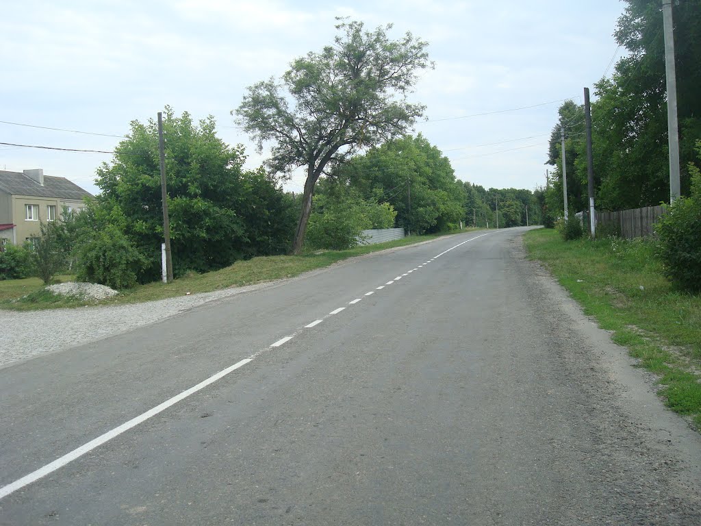 265. Виньковцы